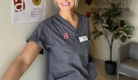 56a42944 Ad82 4a37 A68b 068d9615689f