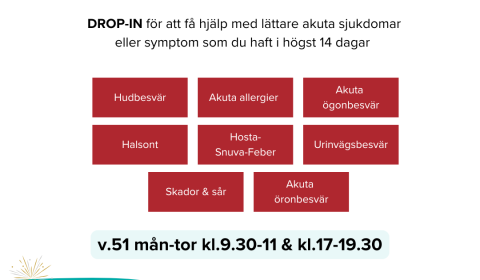 Lättakut Sala Nov2025