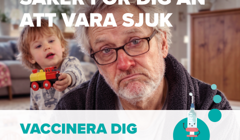 Influensa Höst 26